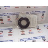 OIL SEAL